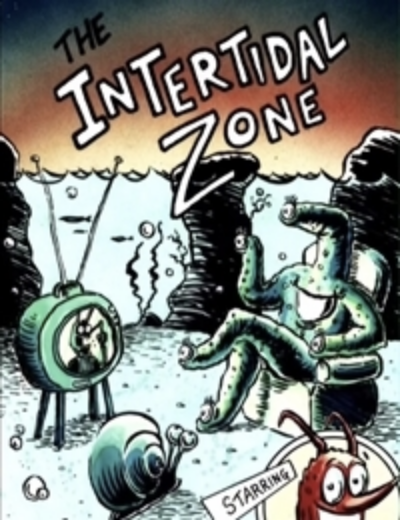 The Intertidal Zone Comic